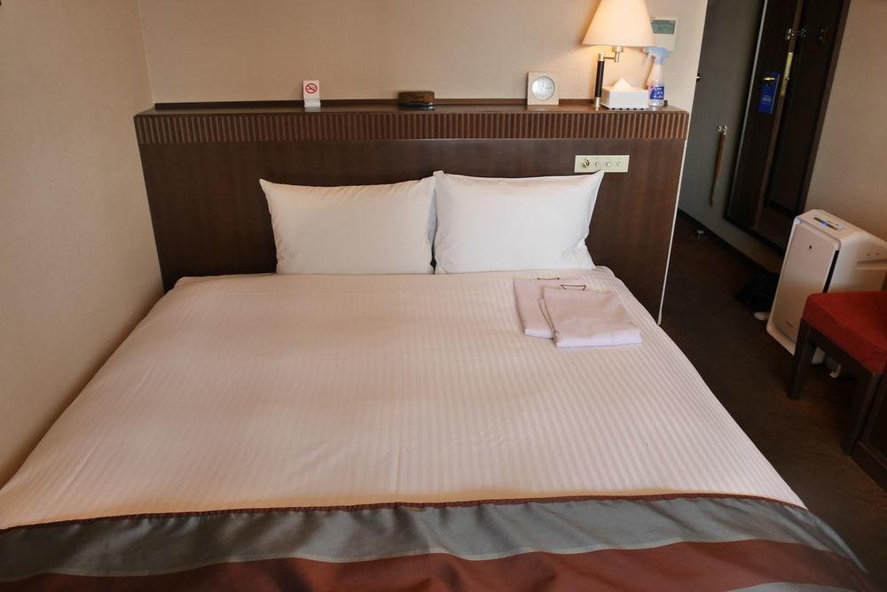 Hotel Shin Yokohama Grace Yokohama (Kanagawa)
